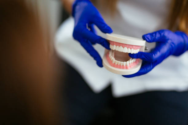  Louisvle, IL Holistic Dental Services Pros
